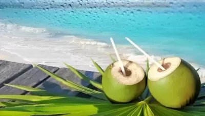 Top 5 cách giải nhiệt cơ thể cực kỳ hiệu quả vào những ngày hè nắng nóng