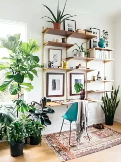Top 6 ý tưởng trang trí nhà với cây xanh cực kỳ đẹp