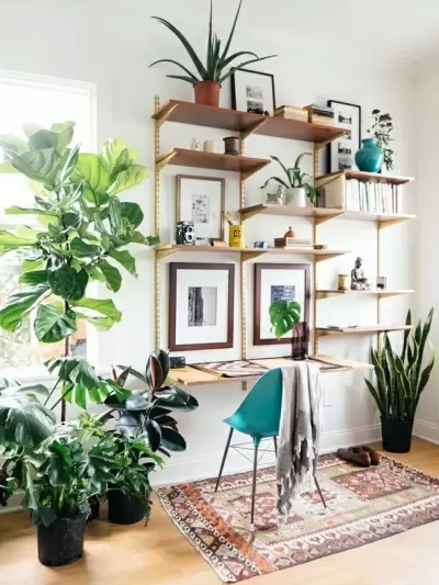 Top 6 ý tưởng trang trí nhà với cây xanh cực kỳ đẹp