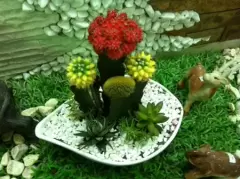 Top 5 cây phong thủy tăng may mắn và tài lộc cho người tuổi Tân Mão
