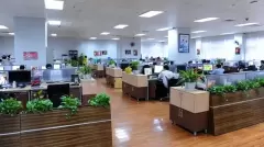 Top 5 nguyên tắc phong thủy trong bố trí văn phòng