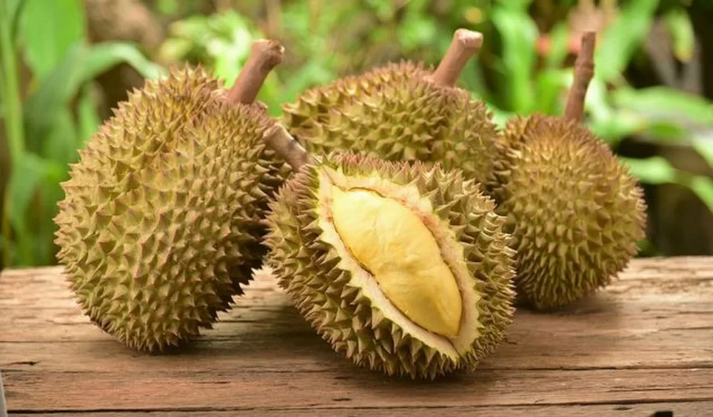 Top 5 điều cần đặc biệt lưu ý  khi ăn sầu riêng