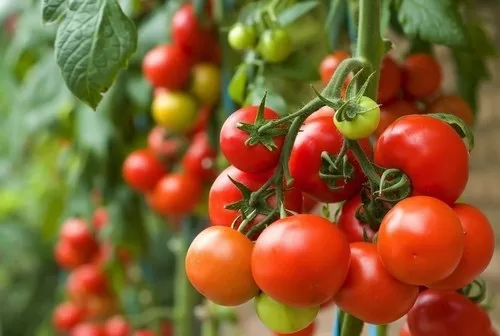 Top 6 thực phẩm vàng mà phụ nữ tuổi tứ tuần nên ăn