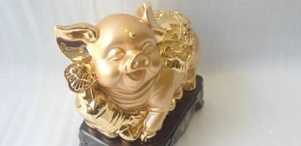 Top 5 vật phẩm phong thủy có thể mang lại tài vận cho người tuổi Hợi