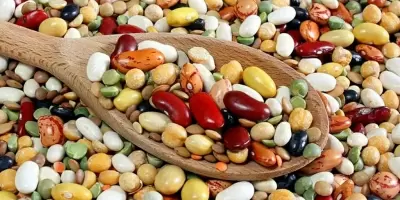 Top 6 thực phẩm giúp đốt cháy chất béo hiệu quả nhất