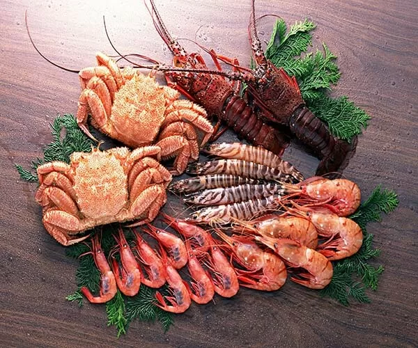 Top 5 cách bổ sung sắt trong bữa ăn hằng ngày