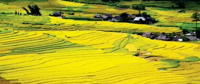 Top 5 thung lũng tuyệt đẹp và rộng lớn của Việt Nam được các phượt thủ yêu thích