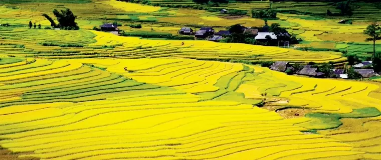 Top 5 thung lũng tuyệt đẹp và rộng lớn của Việt Nam được các phượt thủ yêu thích