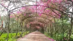 Top 5 địa điểm thích hợp để tránh nóng cho giới trẻ Sài Gòn