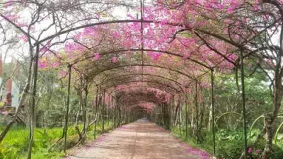 Top 5 địa điểm thích hợp để tránh nóng cho giới trẻ Sài Gòn