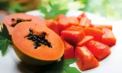 Top 5 thực phẩm vàng giúp cải tạo làm trẻ hóa lại dạ dày