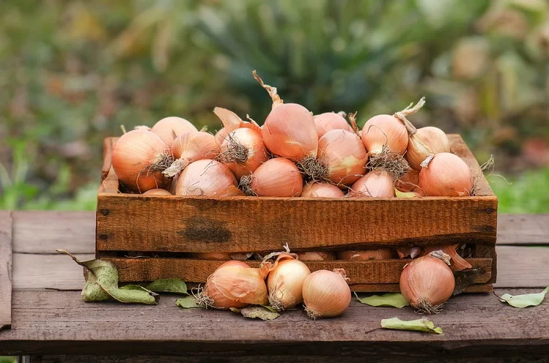 Top 9 công dụng thần kỳ của hành tây mang lại cho sức khỏe của bạn