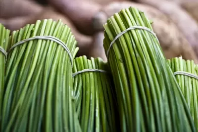 Top 6 công dụng của rau hẹ đối với sức khỏe của bạn