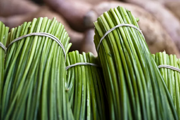 Top 6 công dụng của rau hẹ đối với sức khỏe của bạn