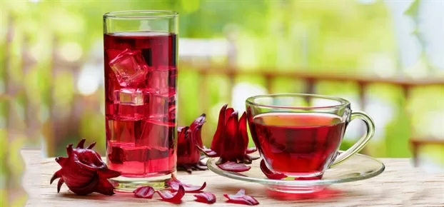 Top 8 lợi ích kỳ diệu của hoa bụp giấm