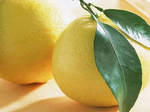 Top 8 công dụng kì diệu của cây bưởi mà có thể bạn chưa biết