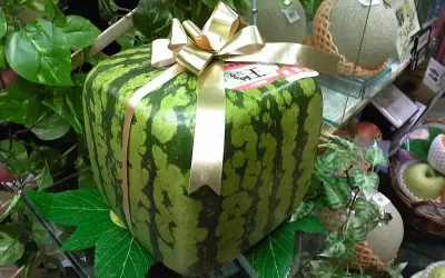Top 10 loại trái cây đắt đỏ nhất thế giới