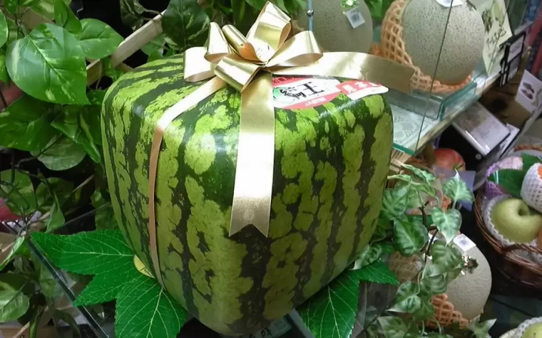 Top 10 loại trái cây đắt đỏ nhất thế giới