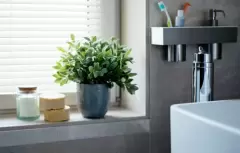 Top 6 kinh nghiệm đặt cây cảnh đẹp phù hợp trong phòng tắm