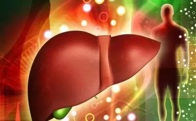 Top 6 loại thực phẩm cực kỳ tốt cho người gan bị nhiễm mỡ