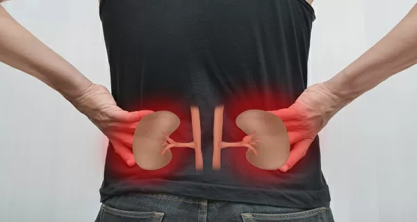 Top 6 điều sai lầm thường mắc phải trong việc bồi bổ thận