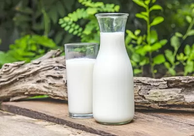 Top 6 loại thực phẩm nên ăn trước và trong khi uống rượu bia