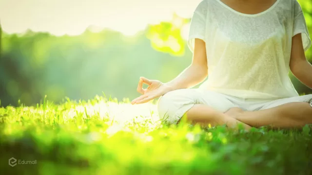 Top 6 loại thực phẩm giúp ngăn ngừa và chống lại bệnh tật rất tốt
