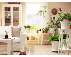 Top 6 lỗi cần phải lưu ý khi mà trồng cây ở trong nhà