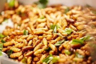 Top 5 món gỏi ngon nức tiếng thu hút nhiều khách du lịch ở Việt Nam