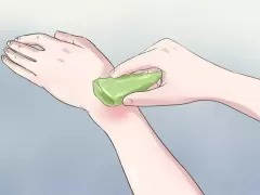 Top 10 công dụng hữu ích của nha đam với đời sống con người