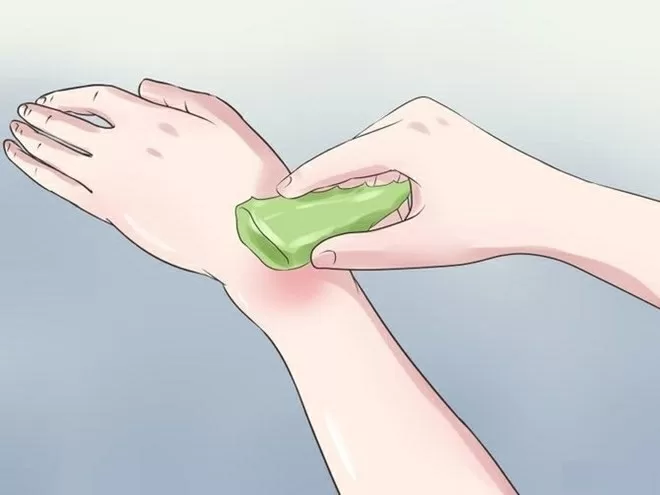 Top 10 công dụng hữu ích của nha đam với đời sống con người